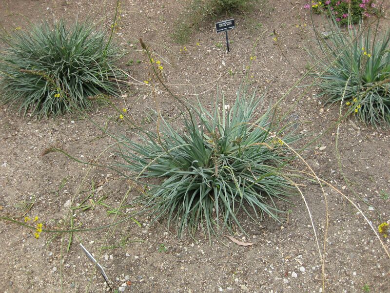 File:IMG 4904 hunt0904.jpg