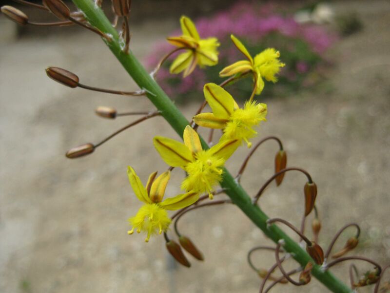 File:IMG 4905 hunt0904.jpg