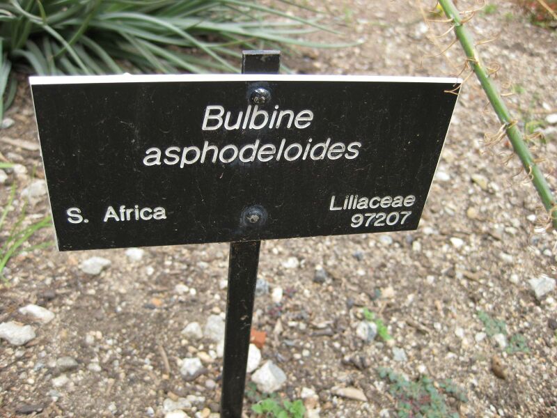 File:IMG 4906 hunt0904.jpg