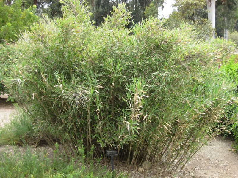 File:IMG 4912 hunt0904.jpg