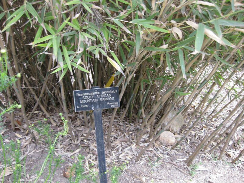 File:IMG 4913 hunt0904.jpg