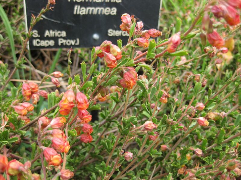 File:IMG 4915 hunt0904.jpg