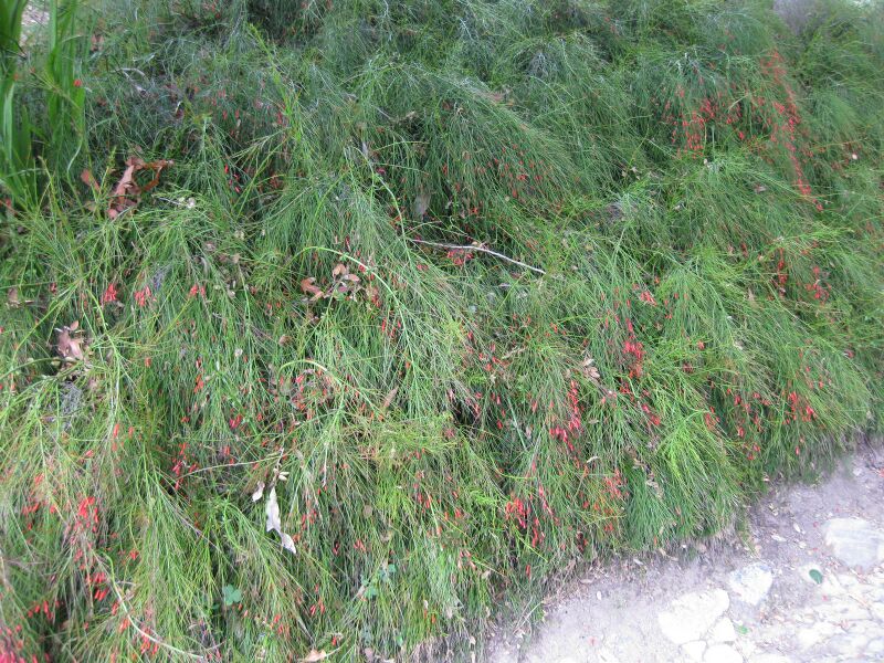 File:IMG 4918 hunt0904.jpg