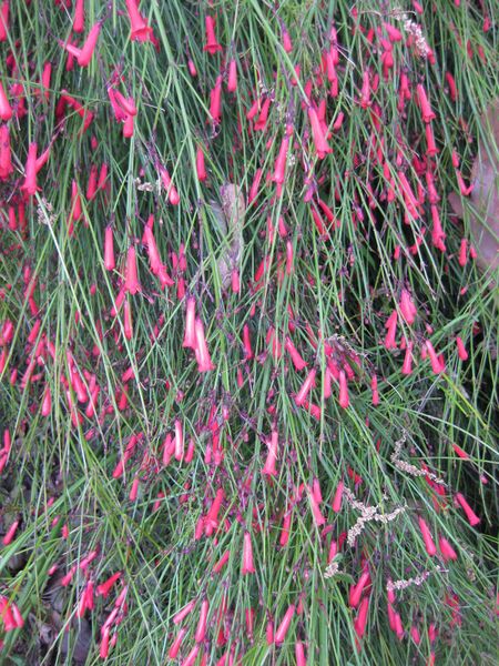 File:IMG 4919 hunt0904.jpg