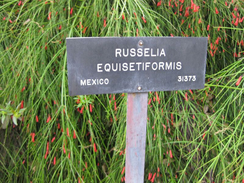 File:IMG 4920 hunt0904.jpg