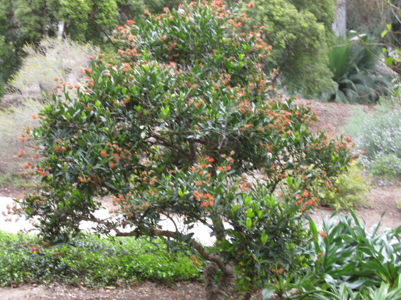 File:IMG 4923 hunt0904.jpg