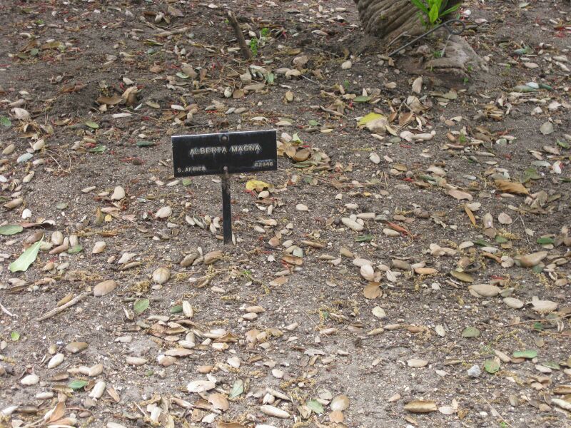 File:IMG 4924 hunt0904.jpg