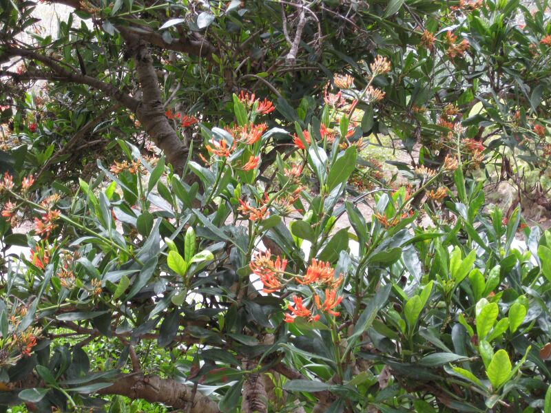 File:IMG 4925 hunt0904.jpg