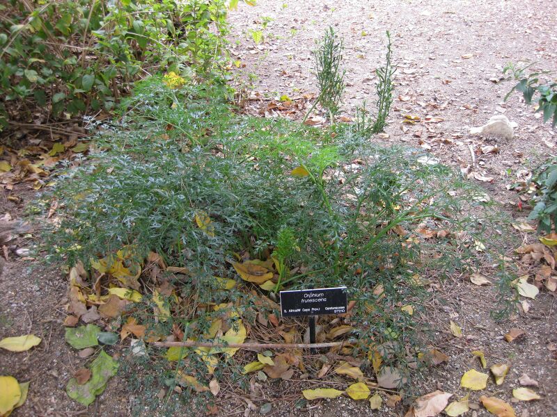 File:IMG 4926 hunt0904.jpg