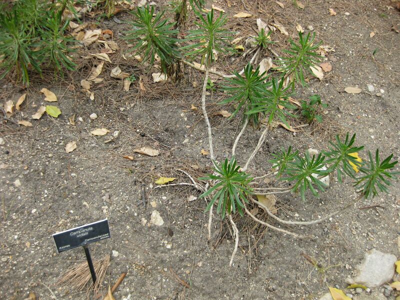 File:IMG 4933 hunt0904.jpg