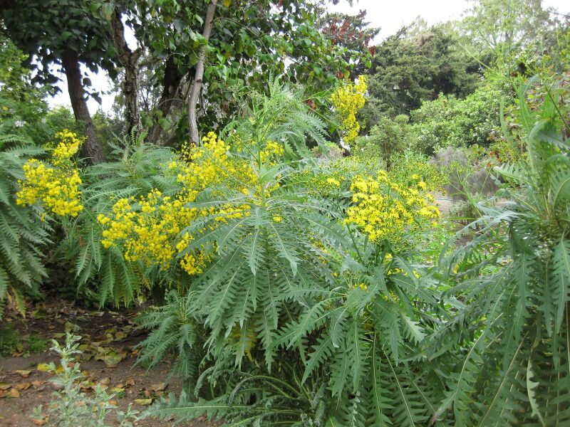 File:IMG 4935 hunt0904.jpg