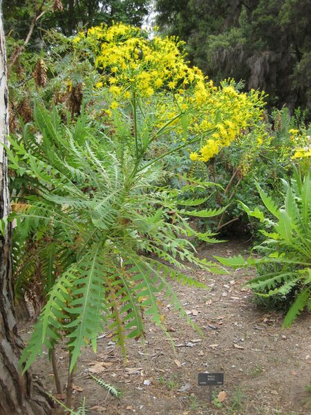 File:IMG 4938 hunt0904.jpg