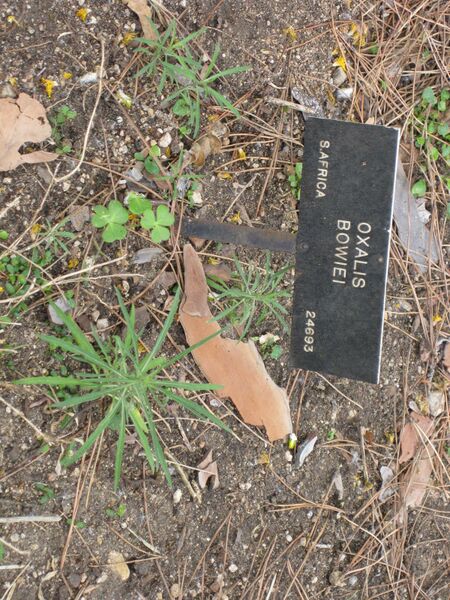 File:IMG 4939 hunt0904.jpg