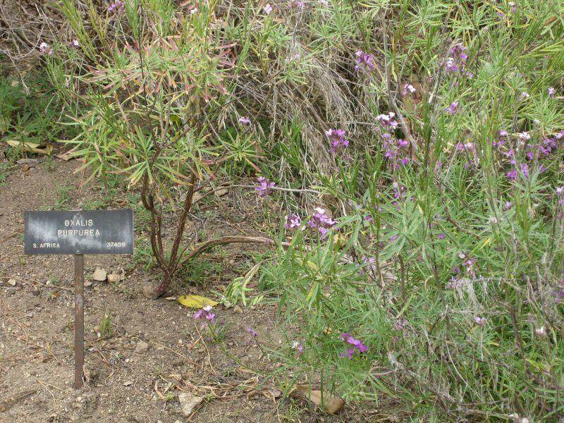 File:IMG 4941 hunt0904.jpg