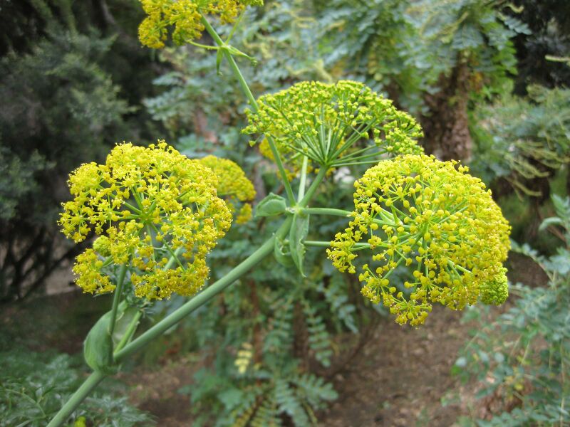 File:IMG 4943 hunt0904.jpg