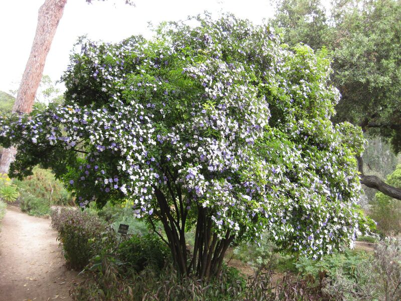 File:IMG 4946 hunt0904.jpg