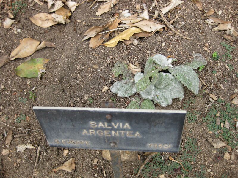 File:IMG 4954 hunt0904.jpg