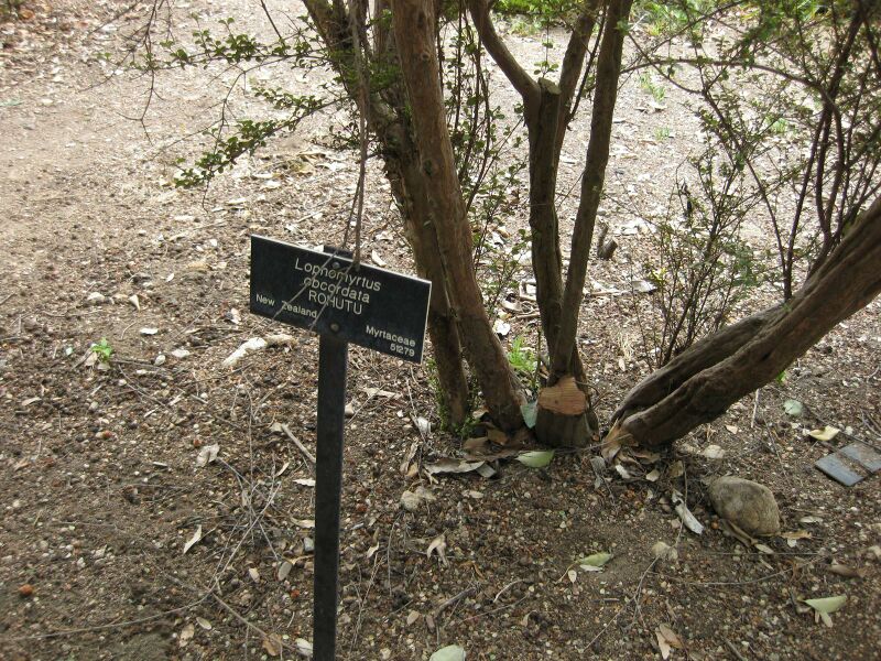 File:IMG 4956 hunt0904.jpg