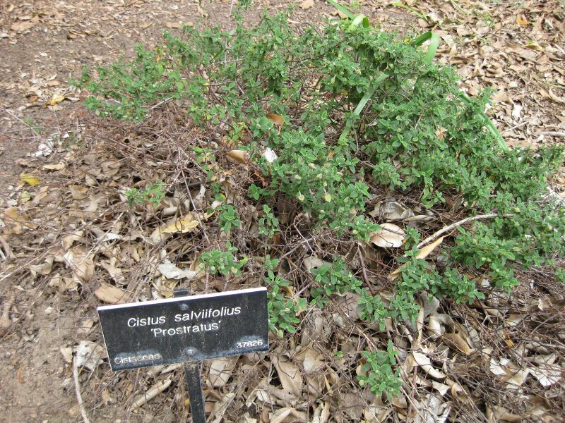 File:IMG 4957 hunt0904.jpg