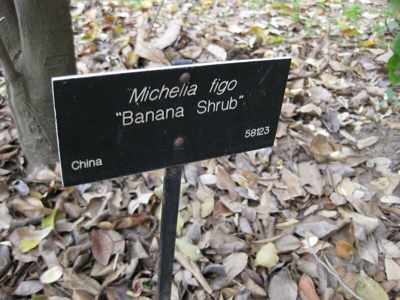 File:IMG 4962 hunt0904.jpg