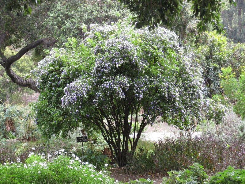 File:IMG 4964 hunt0904.jpg