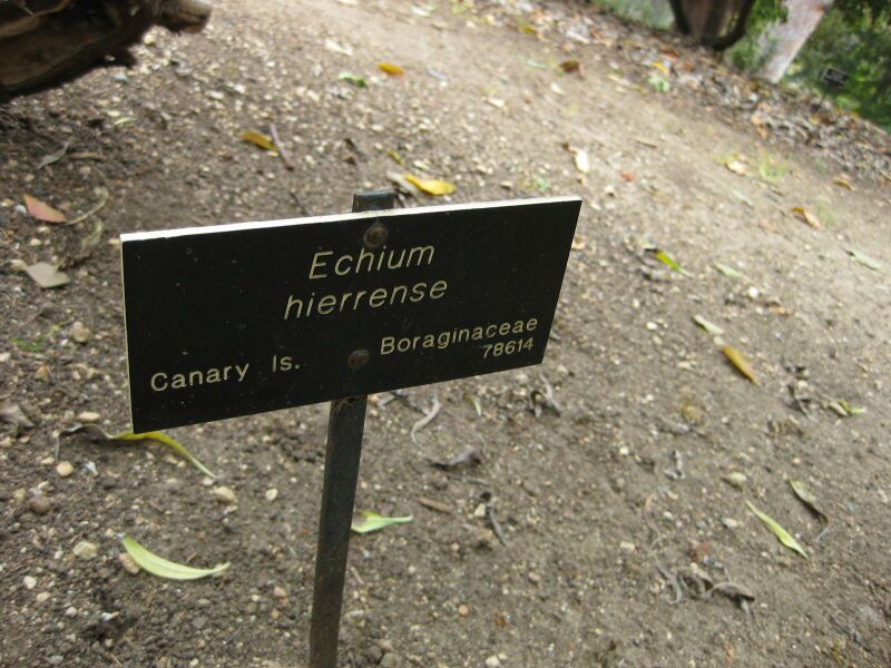 File:IMG 4970 hunt0904.jpg