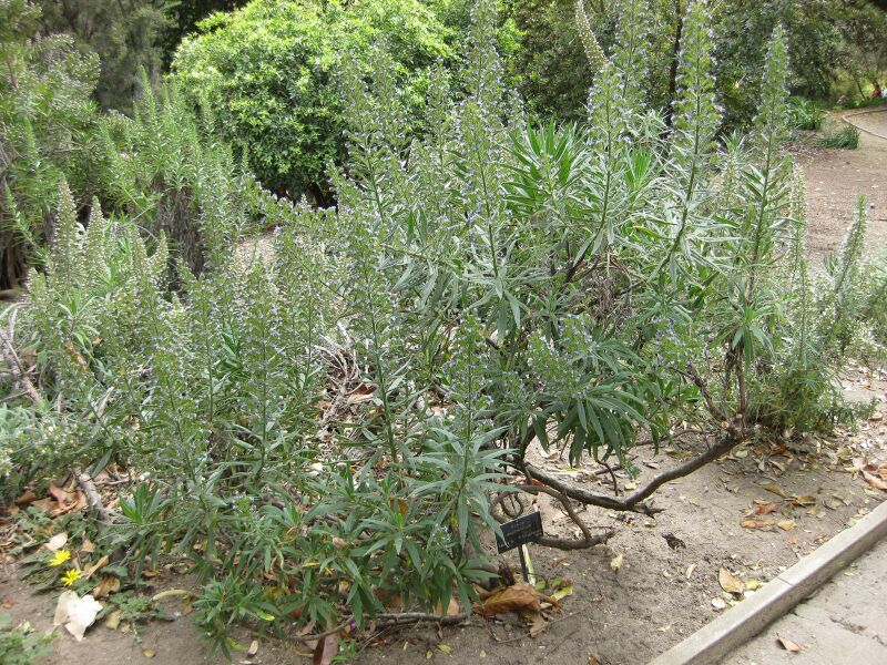 File:IMG 4972 hunt0904.jpg