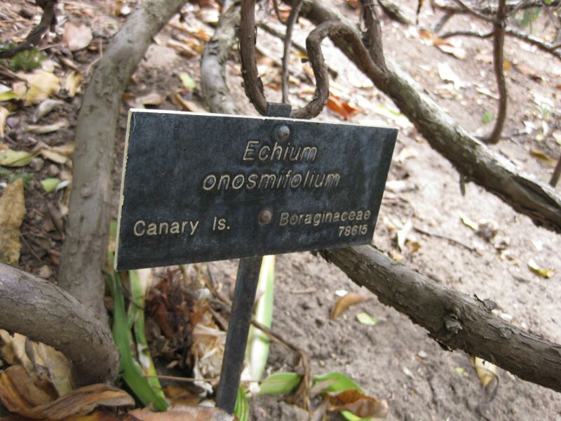 File:IMG 4974 hunt0904.jpg