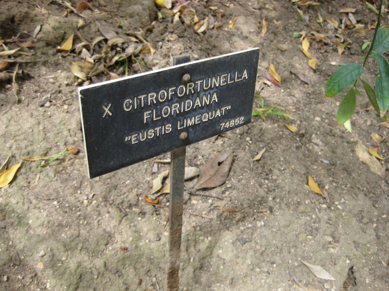 File:IMG 4980 hunt0904.jpg