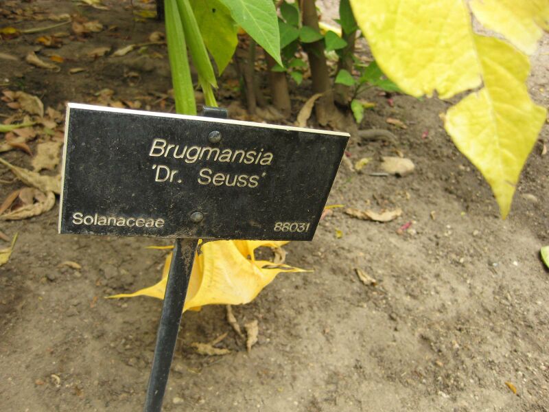 File:IMG 4990 hunt0904.jpg