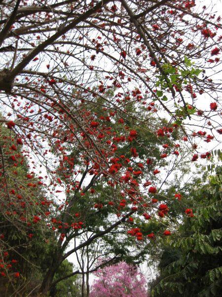 File:IMG 4993 hunt0904.jpg