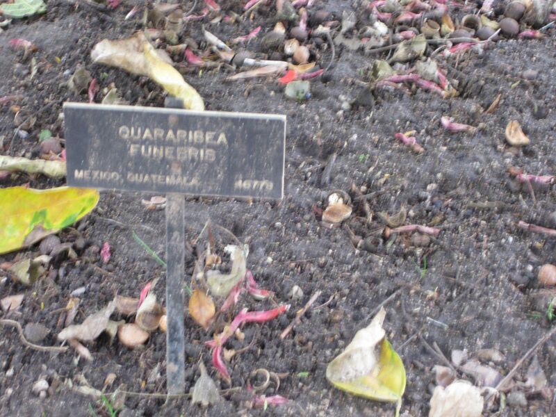 File:IMG 4995 hunt0904.jpg