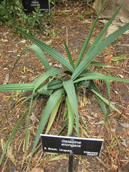 File:IMG 4998 hunt0904.jpg