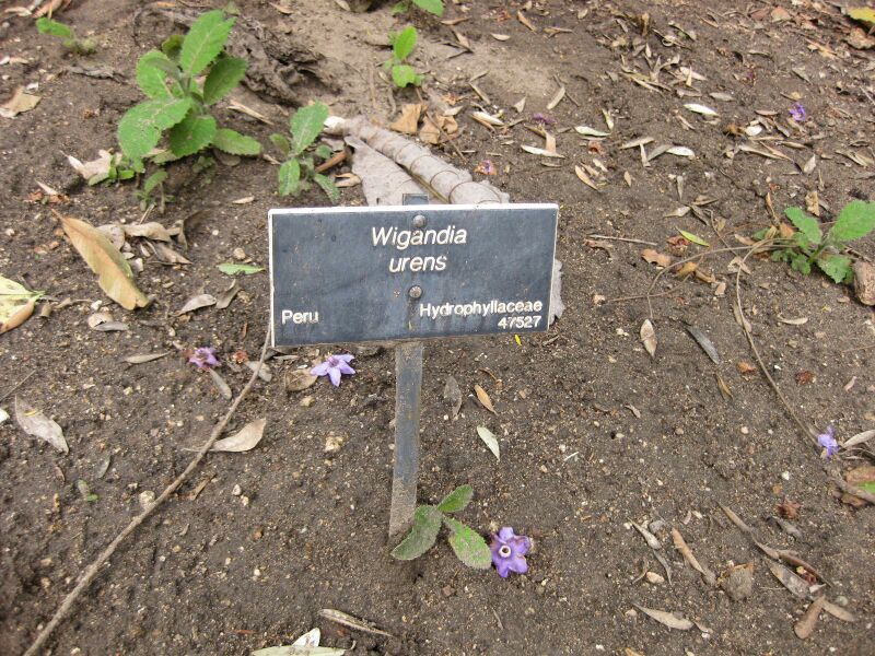 File:IMG 5005 hunt0904.jpg