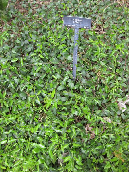 File:IMG 5011 hunt0904.jpg