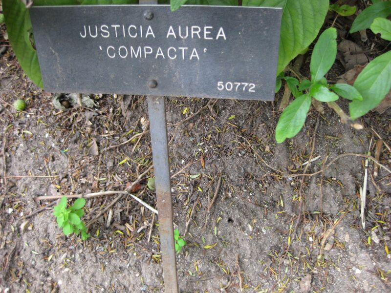 File:IMG 5013 hunt0904.jpg