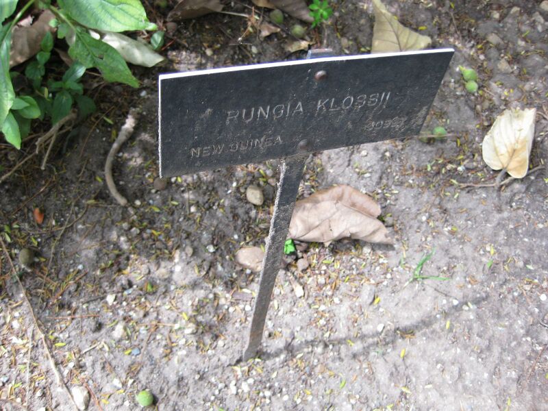 File:IMG 5015 hunt0904.jpg