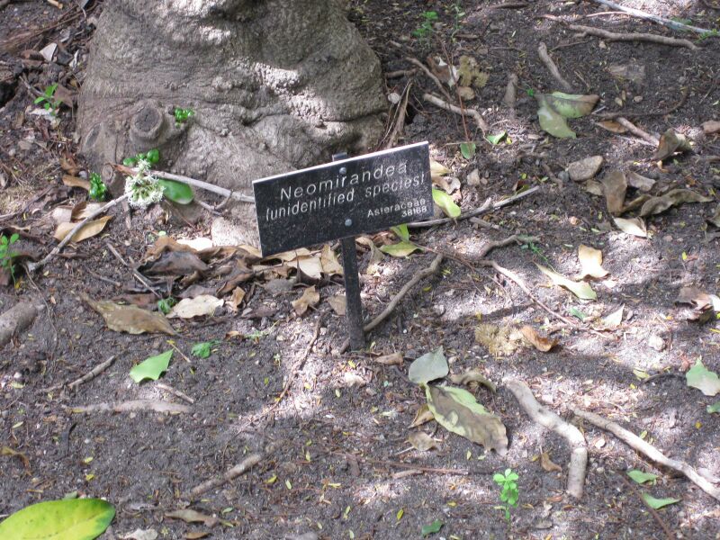 File:IMG 5018 hunt0904.jpg