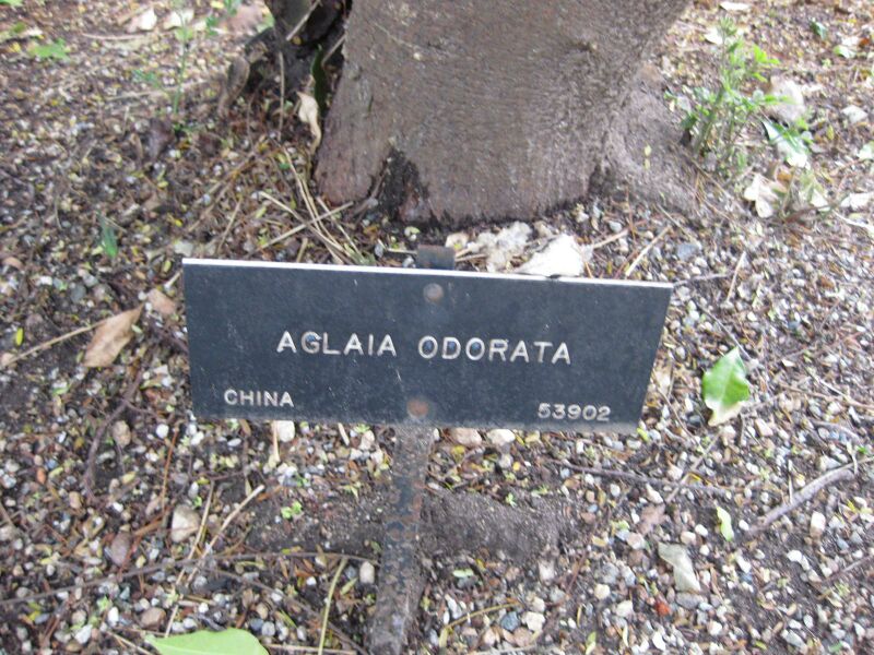 File:IMG 5025 hunt0904.jpg