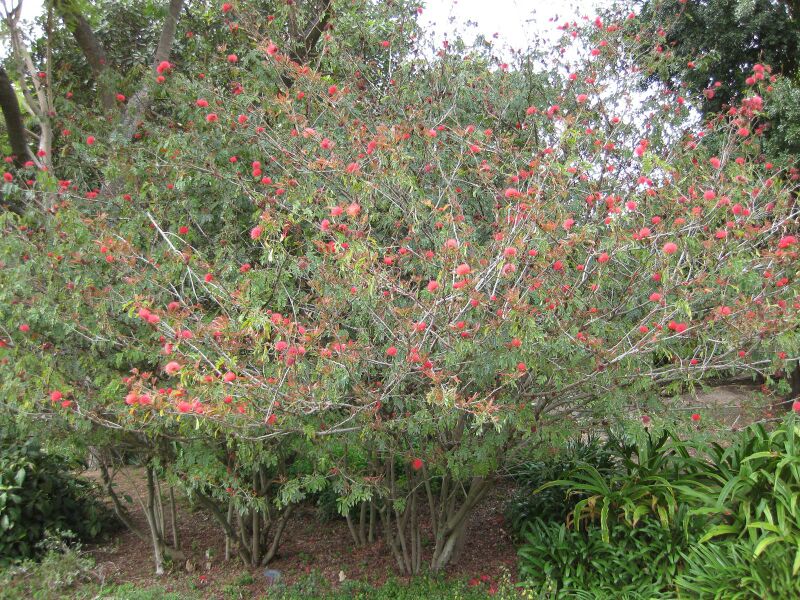 File:IMG 5041 hunt0904.jpg