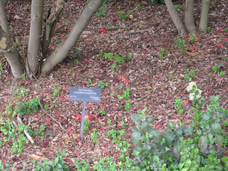 File:IMG 5043 hunt0904.jpg