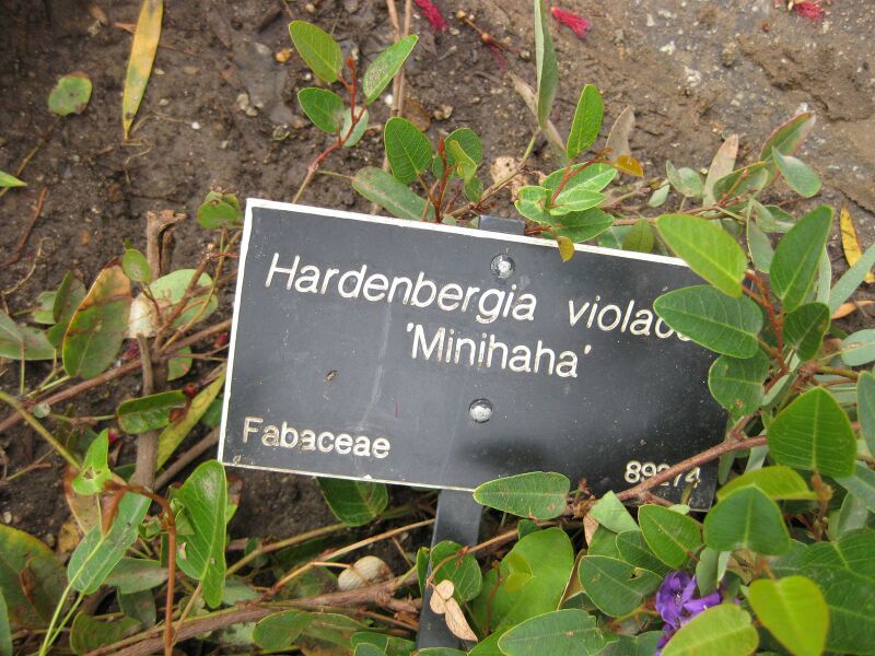 File:IMG 5054 hunt0904.jpg