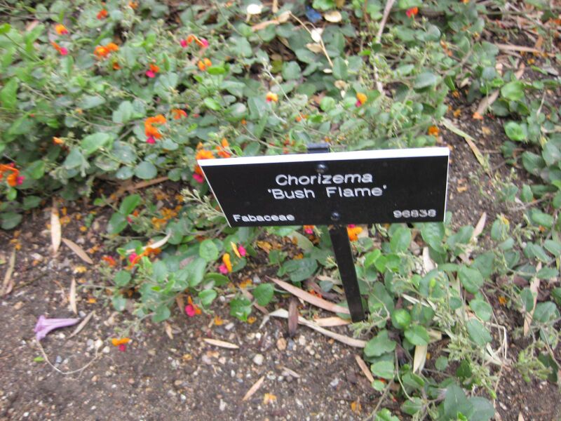 File:IMG 5056 hunt0904.jpg