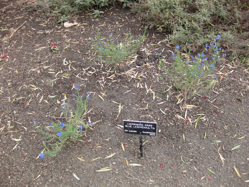 File:IMG 5059 hunt0904.jpg