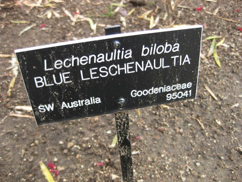 File:IMG 5062 hunt0904.jpg