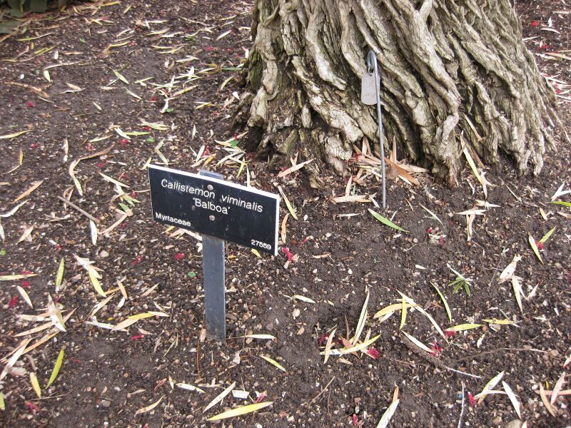 File:IMG 5066 hunt0904.jpg