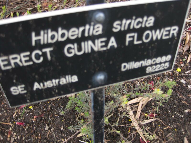 File:IMG 5069 hunt0904.jpg