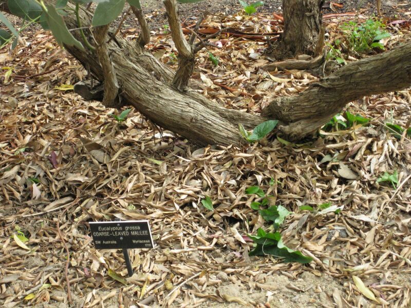 File:IMG 5072 hunt0904.jpg