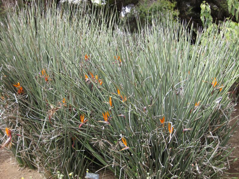 File:IMG 5079 hunt0904.jpg