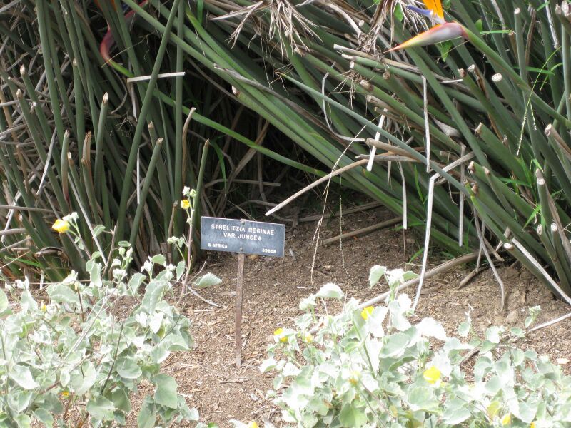 File:IMG 5080 hunt0904.jpg